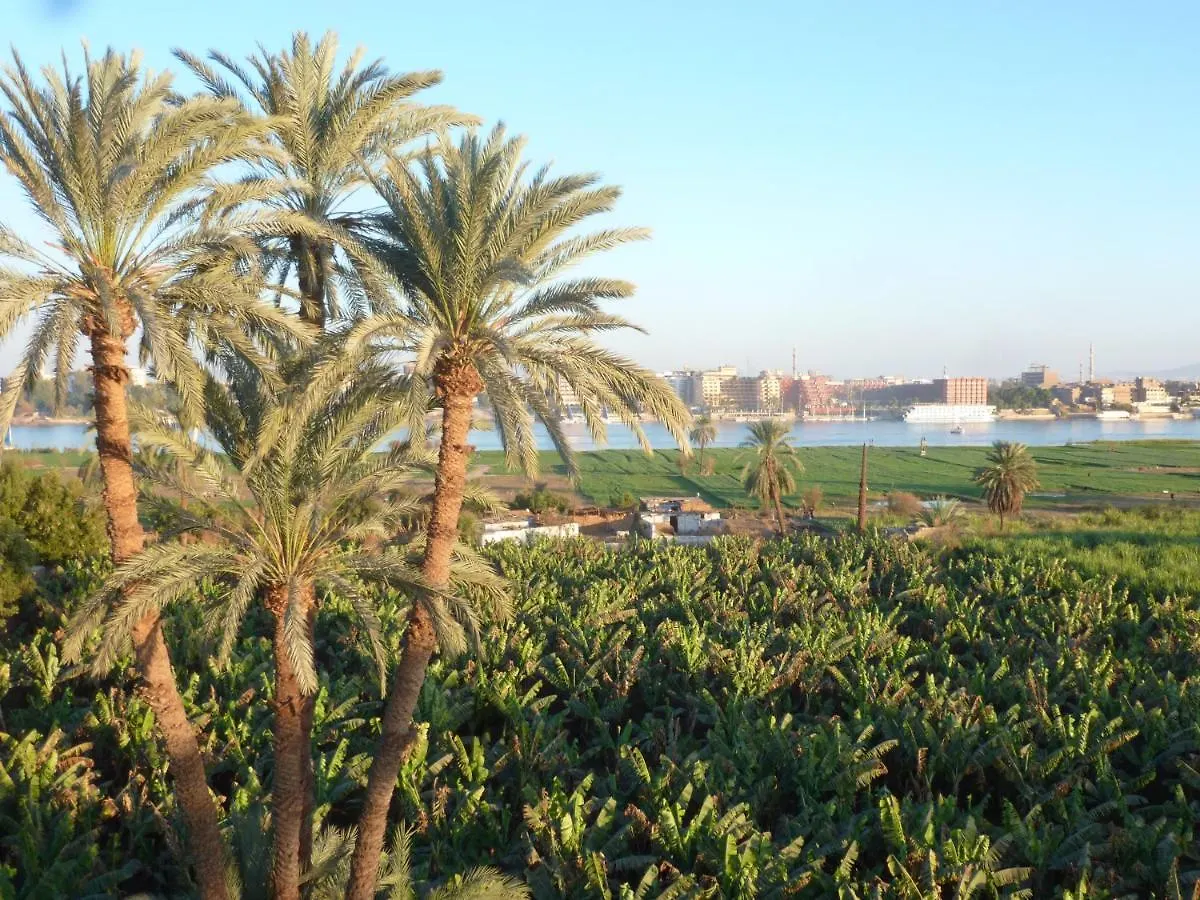 Dream Island Hotel Luxor Egypt